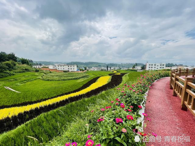 云南省曲靖市沾益区花儿开了,等你来一场和盛夏的约会.|沾益区|云南