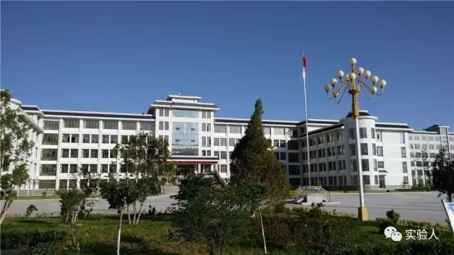 喜讯礼县实验中学15名学生在全省青少年文化书信大赛中获奖