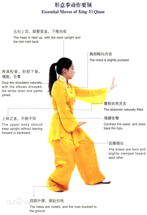 因为形意拳的拳法少,练法简单,所以形意拳入门容易.