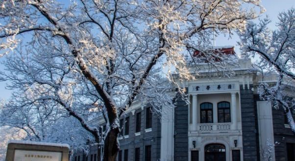 国际大学排行_108所国际大学,三榜国际大学排名对比!顶尖名校实力一目了然