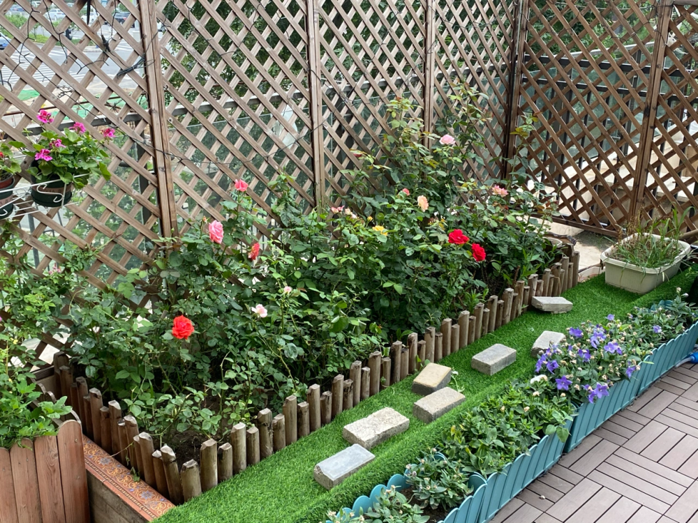 历时2年,diy改造我的60㎡露台小花园,简直美成了一幅画