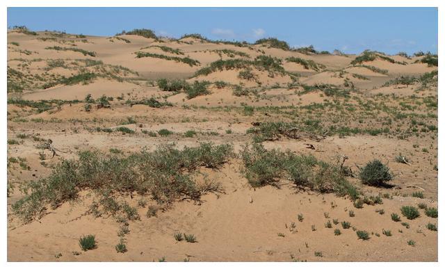 不少人认为,硒砂瓜可能不是压砂地的最佳品种选择,相关调查研究也引起