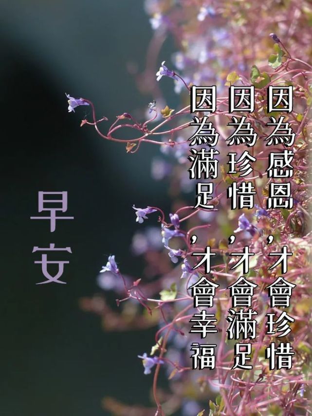 早安圖片帶字祝福語早安圖片帶字大全