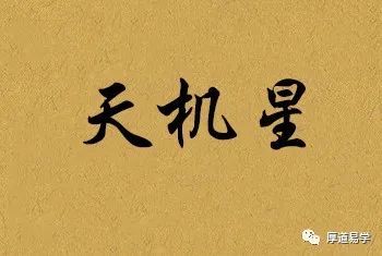 紫微斗数星情:天机星