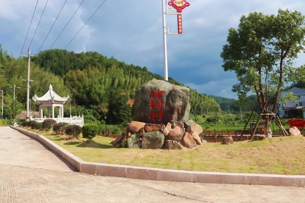 走进乡村看小康上杭樟树村最美村落的前世今生