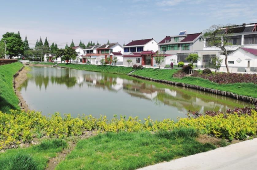 江苏真实的农村面貌楼房普遍是二三层高江苏农村没浙江富裕