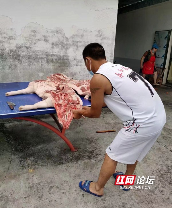 硬核支援桑植一餐馆老板给一线医护人员扛来了一头猪