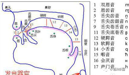 练声方法的几个步骤播音主持每天必练基本功