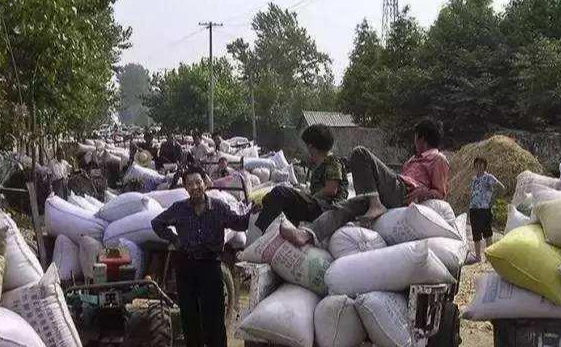 一组80年代农村"交公粮"的老照片,老一辈农村人终生难忘的记忆