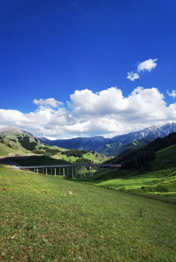 伊犁河谷果子沟