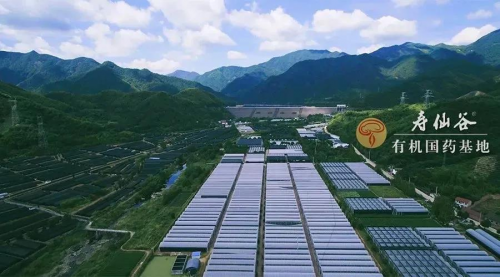 合作农户年收入30万!李明焱告诉你,寿仙谷如何三产融合带动富裕