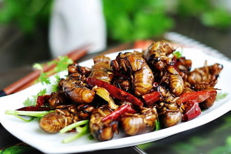 干炒金蝉——夏天宵夜最惹味的下酒菜