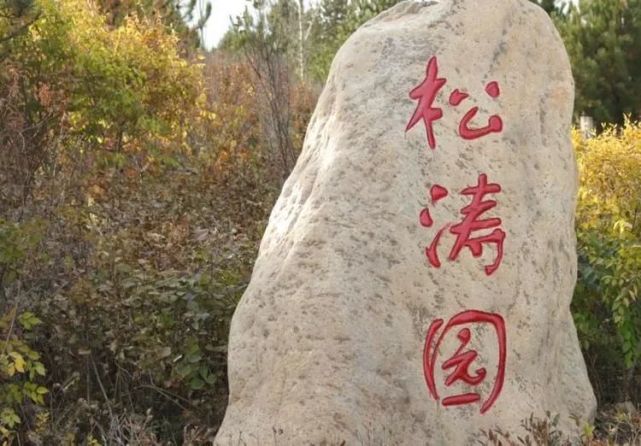 走进右玉—松涛园