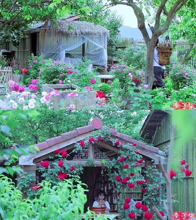 杨丽萍的宅子,李子柒的后院,李玉刚的禅房,大多数人向往的生活都在