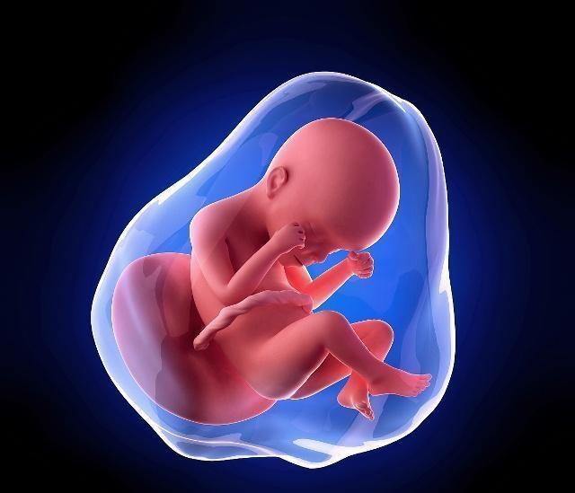 为什么有的孕妈总感觉胎动在肚子右侧?和胎儿性别有关吗?