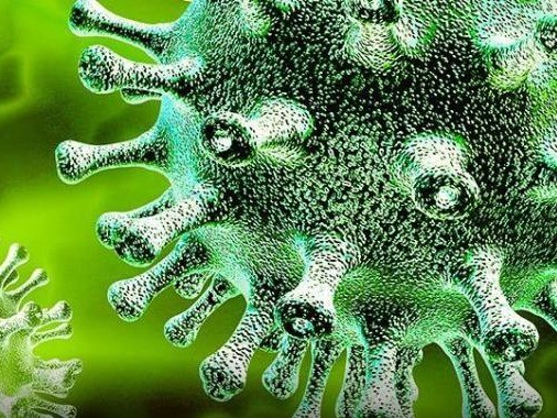 专家称世界尚未认识其危险性|毒株|英国公共卫生部|变异毒株|拉姆达