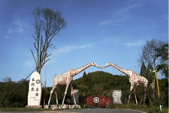 拿来吧你!|竹林|餐厅|长颈鹿|长颈鹿庄园|湖州|庄园
