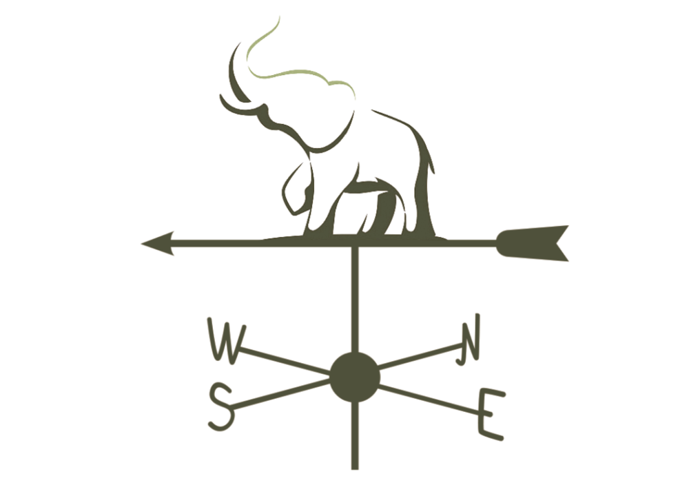 亚洲象离家又近了曾经遍布古代中国的大象都去哪了