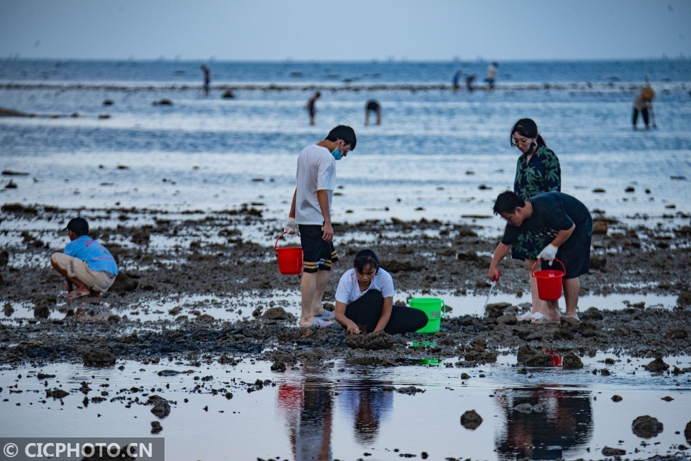 海南琼海秋来赶海乐