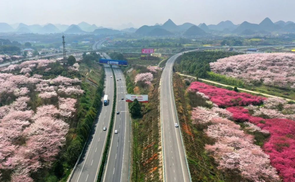 点赞!贵阳市又获得国家级荣誉!_腾讯新闻
