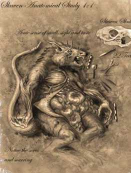 恶臭生物学——鼠人的解剖学报告