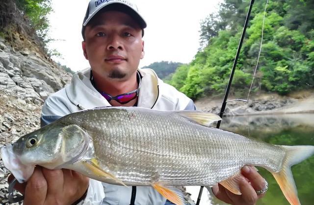 邓刚全飞铅盘哭老板,为啥我铅都飞没了却只钓个零蛋?飞铅钓详解