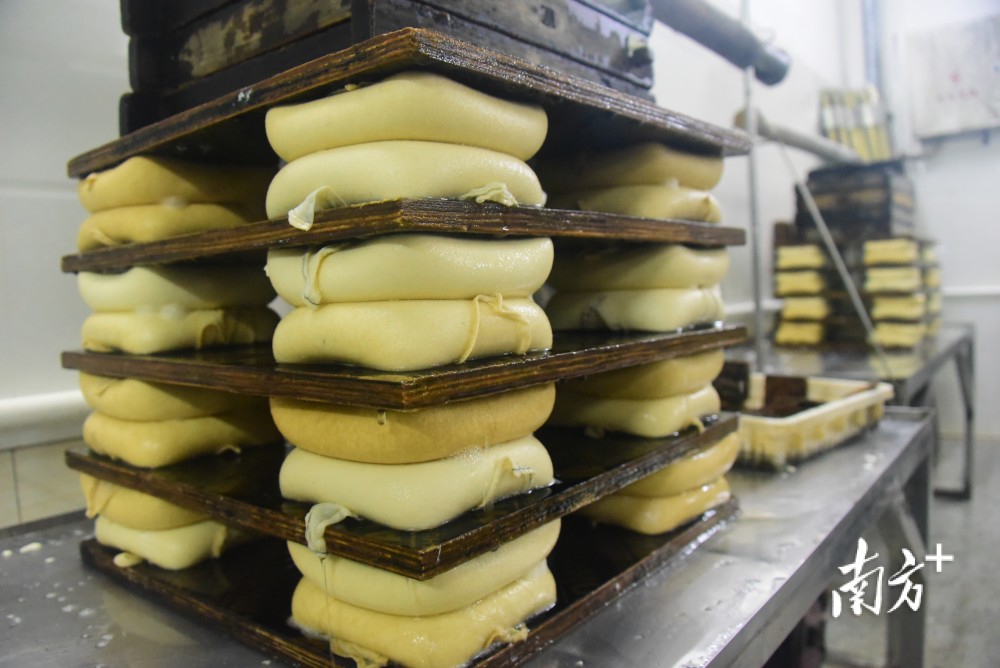 "霞洞的豆饼就是好吃!"|艺电白_腾讯新闻