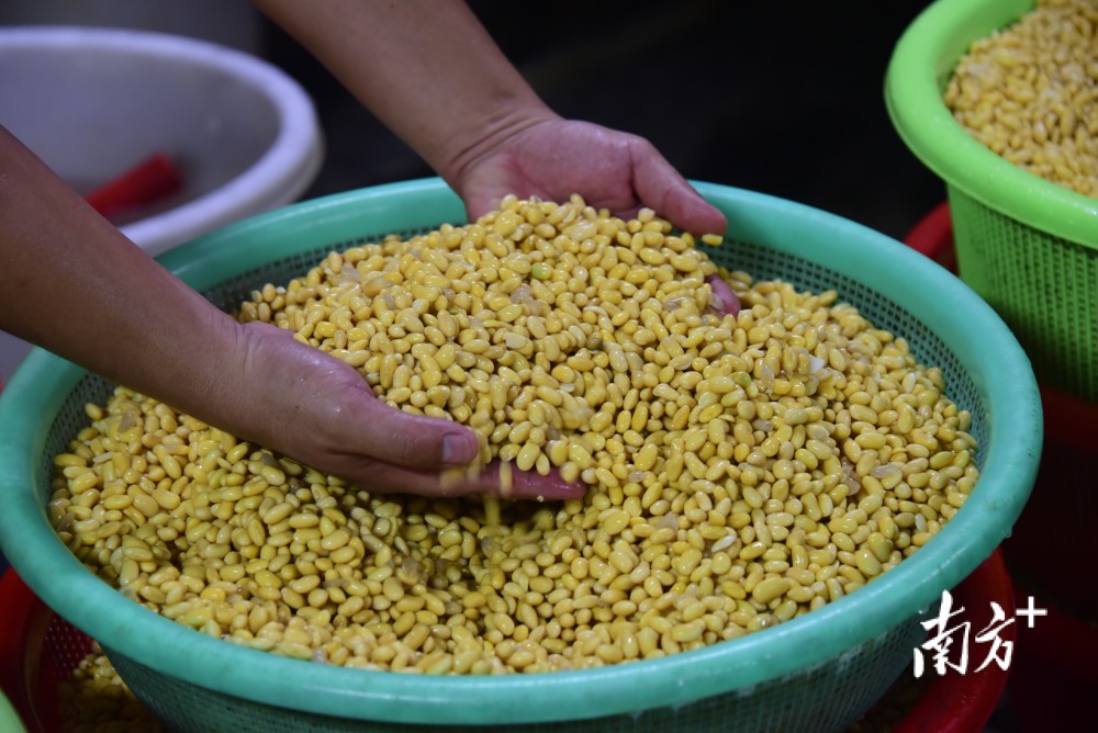 霞洞的豆饼就是好吃艺电白