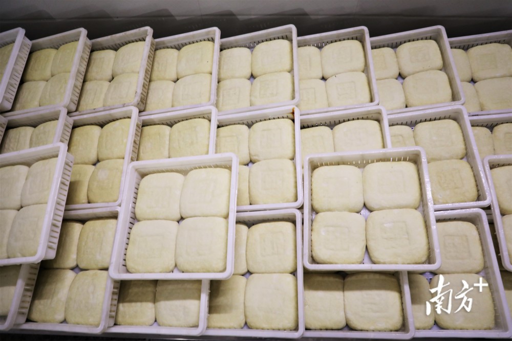 "霞洞的豆饼就是好吃!"|艺电白