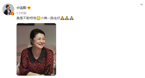 于月仙辛劳一辈子，前半生为父母，后半生为弟弟，一生无儿无女