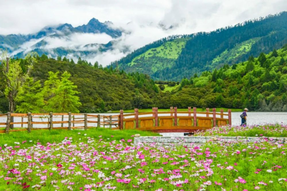 每一个钟情旅游的人,都应该来一次林芝鲁朗!