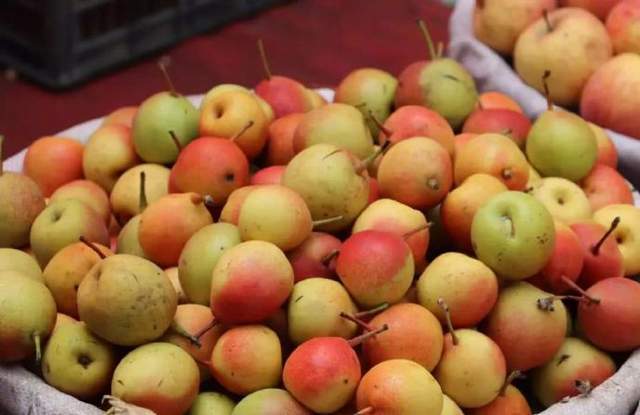 火把节前后好吃的火把梨