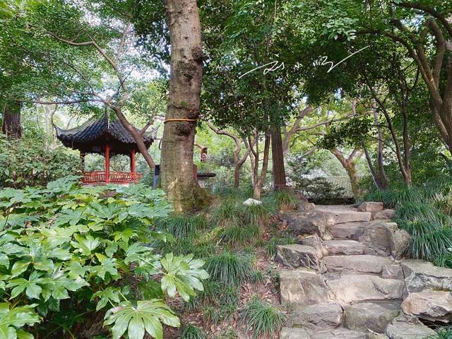 上海市嘉定区有一座著名的"江南园林",门票很便宜,游客却不多