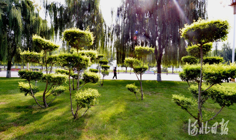 河北日报记者杜柏桦摄2021年8月6日,河北省安国市市民在"口袋公园"