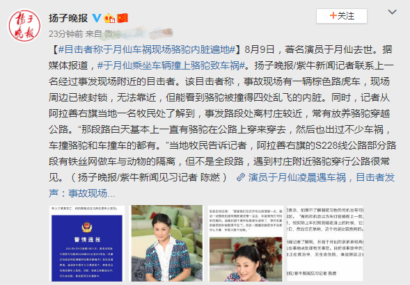 于月仙车祸现场照曝光,刹车痕迹清晰,汽车碎片和骆驼毛随处可见