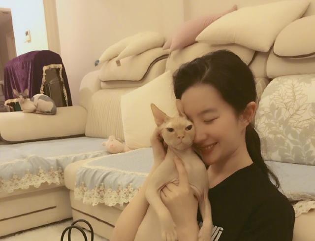 很多粉丝看到这张照片纷纷对刘亦菲说:"放开那只猫,让我来.