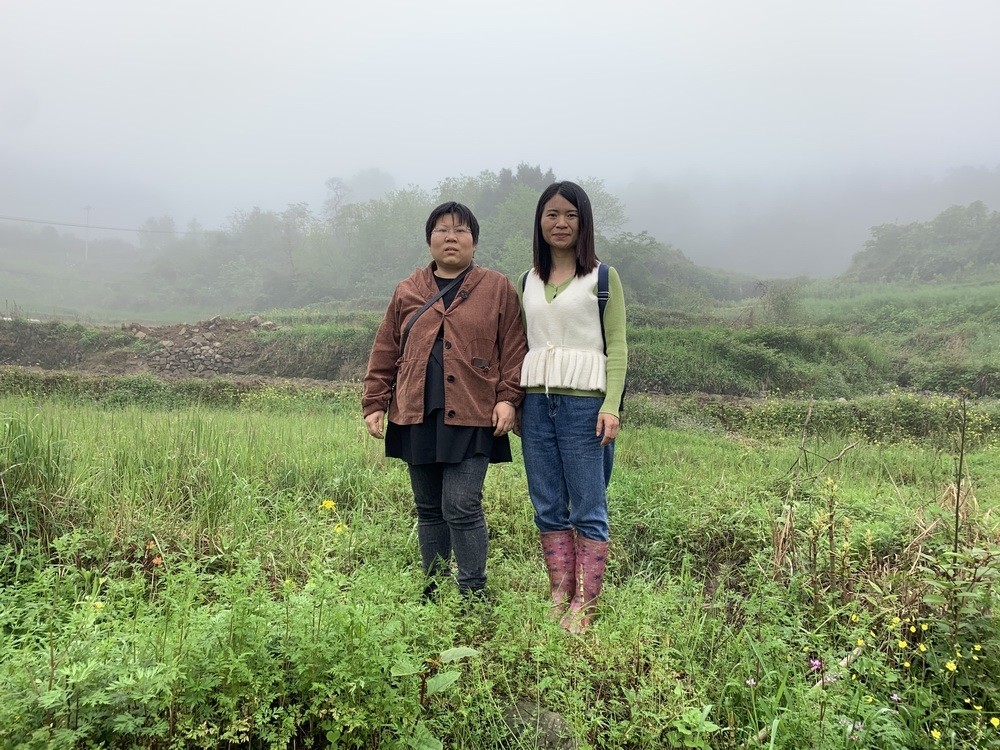 临时辟谣系组建高管追求两姐妹直播电商的发展趋势