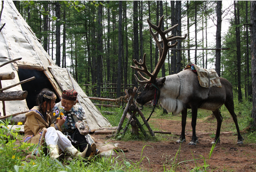 呼伦贝尔非遗丨鄂温克驯鹿习俗