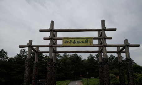 芜湖暑期行|湾沚旅游线路推荐(一)