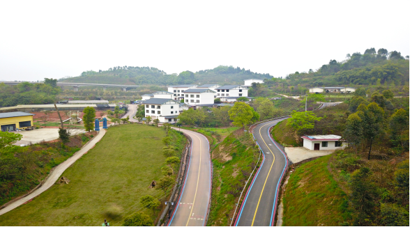 乡村振兴|棉竹镇石桥新村:多点发力促产业发