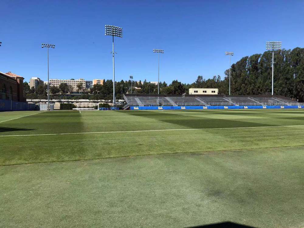 国外留学费用排行榜_英国海外首席代表签证申请攻略:最常见的20个问题&答案详解!