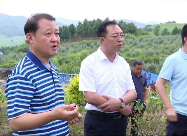 康忠贵强调,抓好乡村振兴,农业产业发展是关键,要持