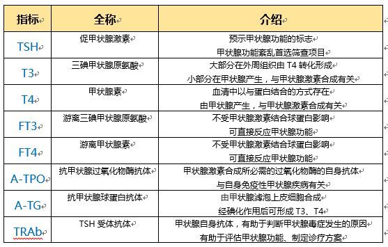 甲功報告單上各指標到底有什麼含義?那些向上向下的箭頭表示什麼?