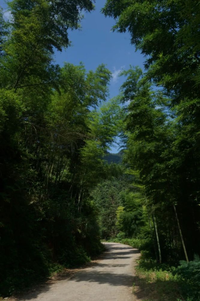 富川這24個景點能包圓你的五一假期大部分免費