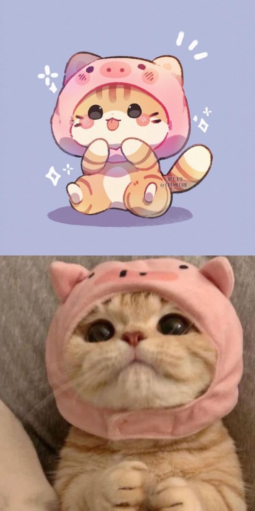 当猫猫被漫画化太可爱啦