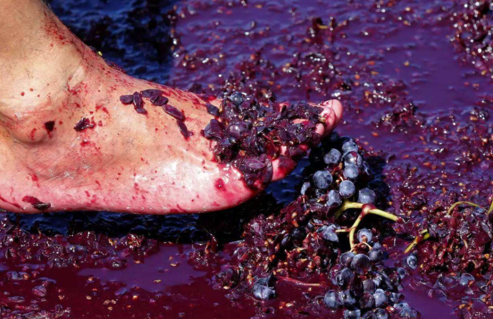 用脚踩出来的葡萄酒,就问:你敢喝吗?