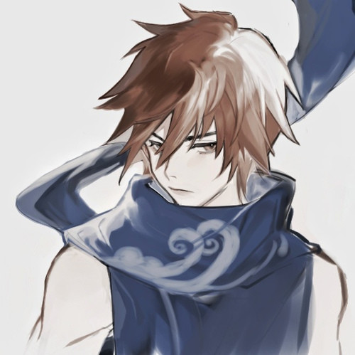 王者英雄头像-澜(2):下次想看哪个英雄?