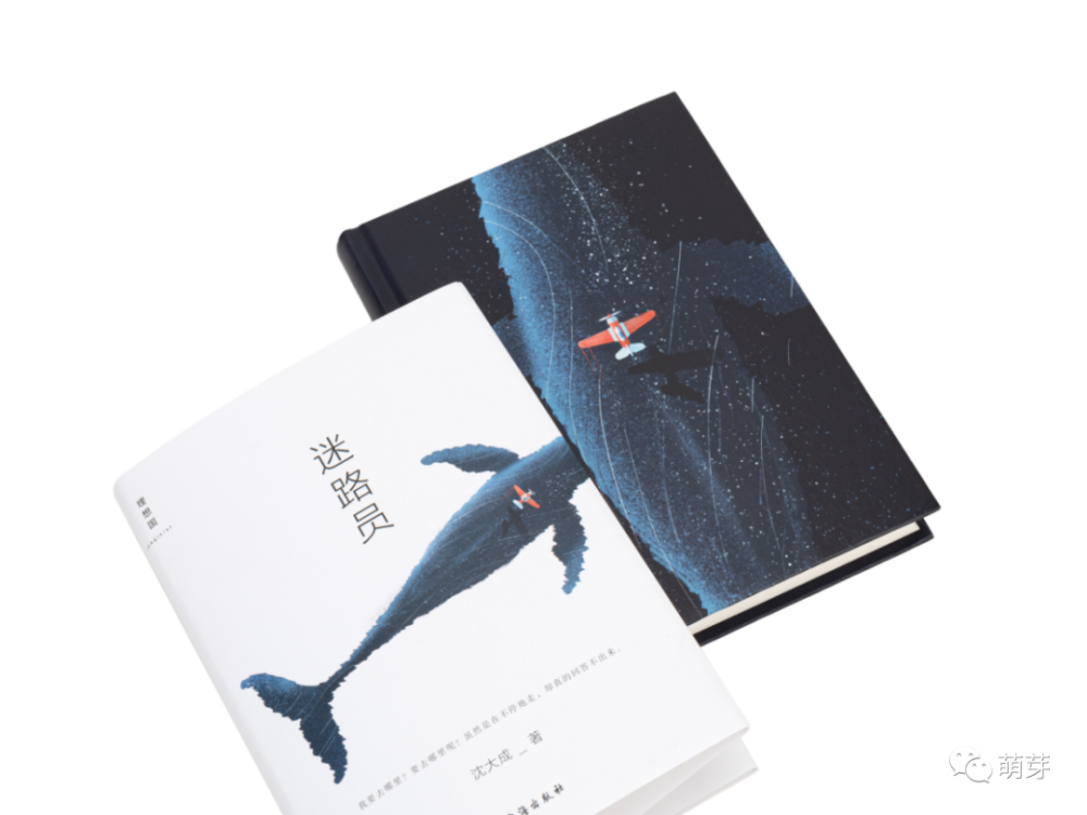 书讯迷路员作者沈大成