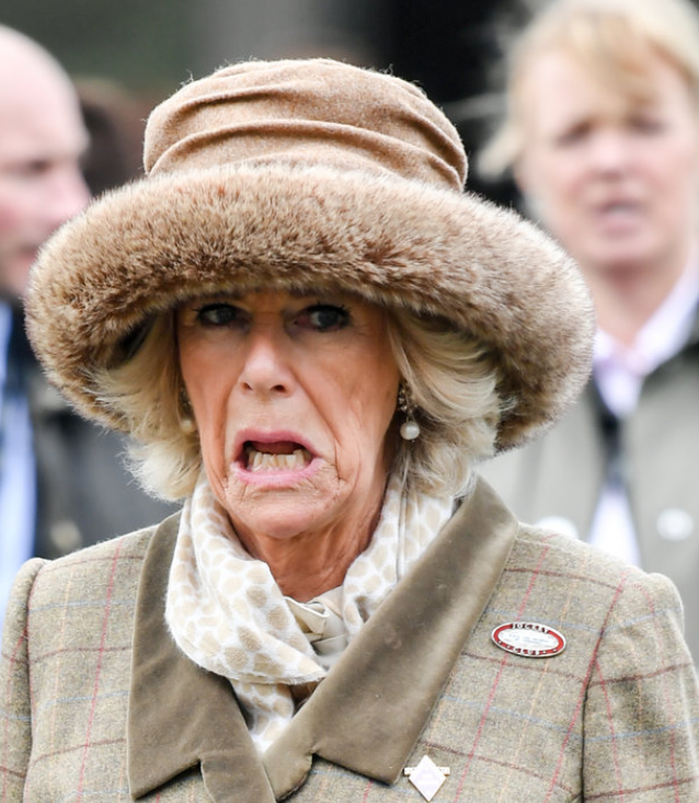 卡米拉的尴尬瞬间:向儿媳凯特行屈膝礼,脑袋被卡在雨伞里出不来