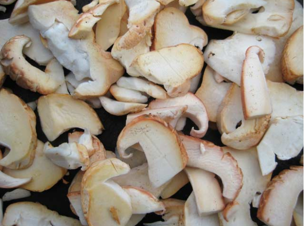 荒野维生野菜系列地花菌